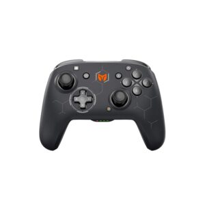 Nintendo Controller